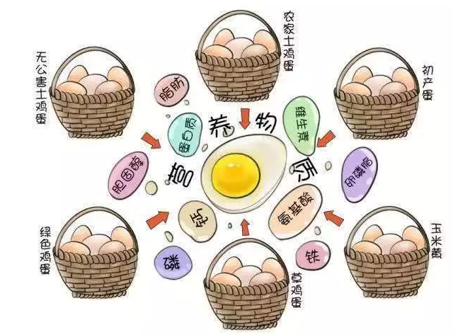 遍尋菜譜收集的雞蛋7中新吃法，第2中最好，第7中最營養(yǎng)